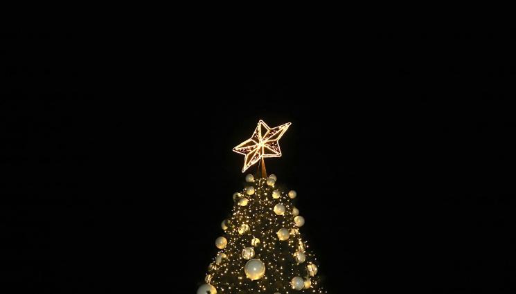 коледна елха софия - ПРАЗНИЧНО НАСТРОЕНИЕ: Светнаха коледните дръвчета по площадите у нас