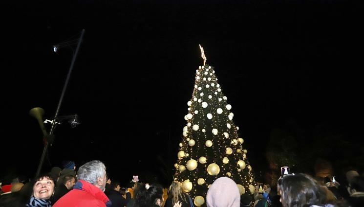 коледна елха софия - Светва елхата в София!