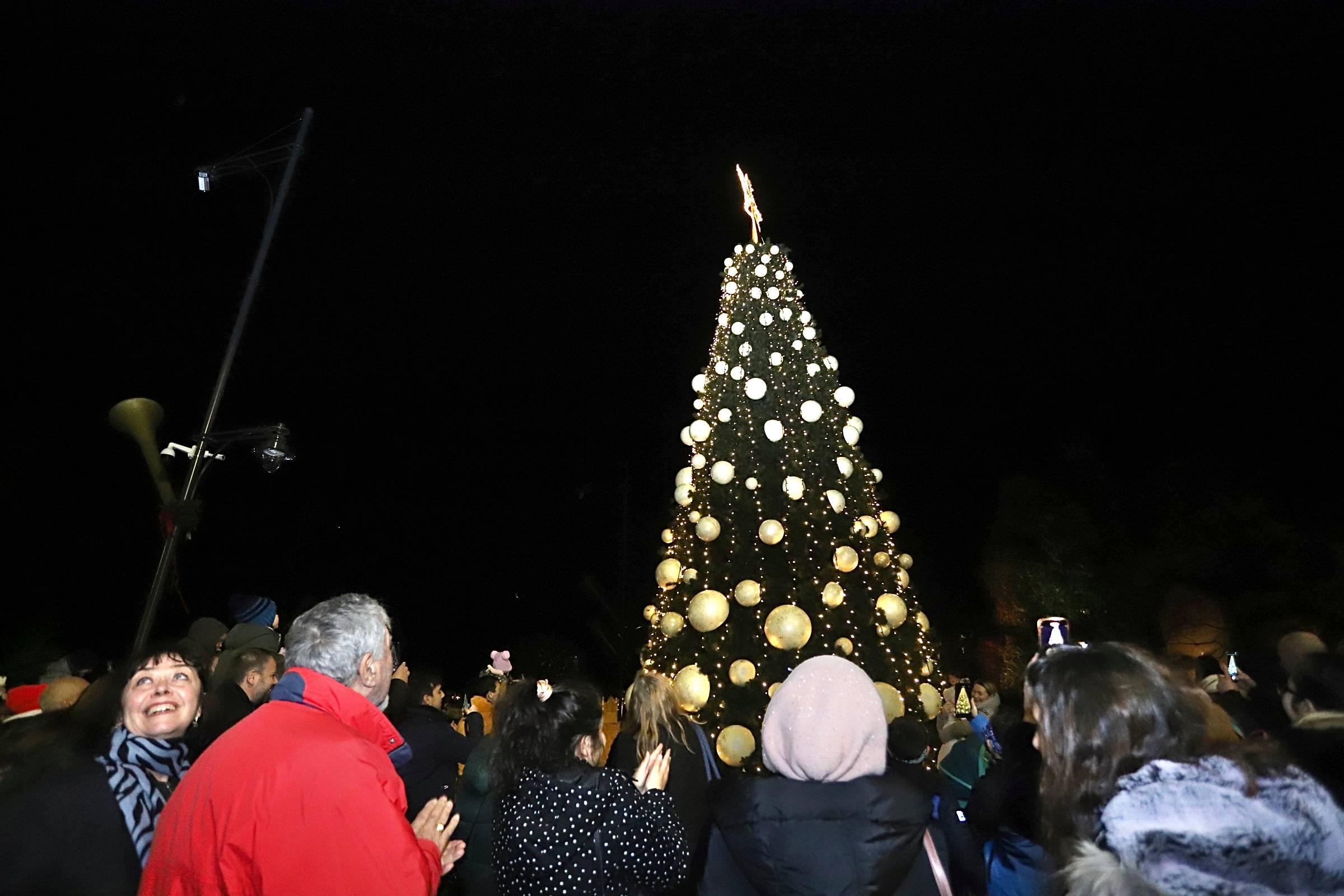 коледна елха софия