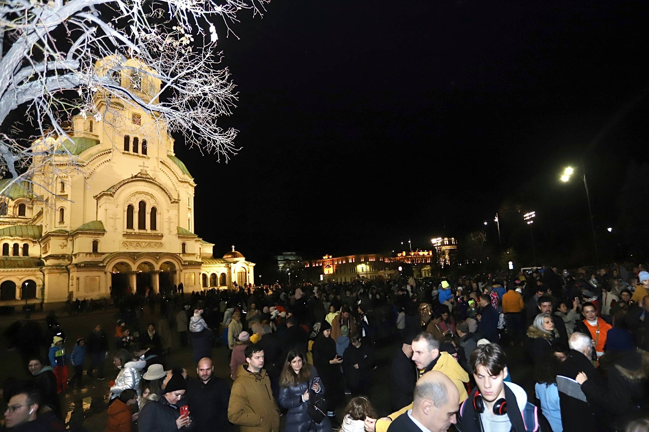 коледна елха софия