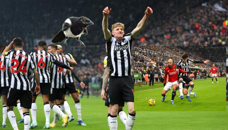 Нюкасъл - Серията без трофеи на Нюкасъл е тежка, много тежка! „Свраките“ са изиграли 2758 мача и вкарали 3934 гола след триумфа над Уйпещ през 1969 година