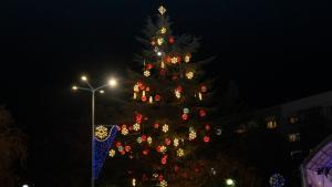 Грейнаха светлините на най голямото живо Коледно дърво в Европа