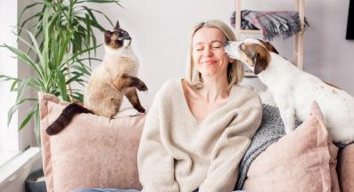 котка и куче