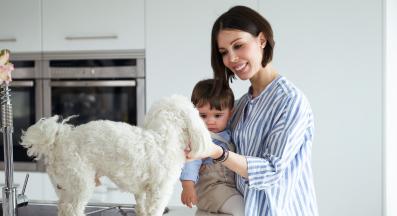 куче и бебе