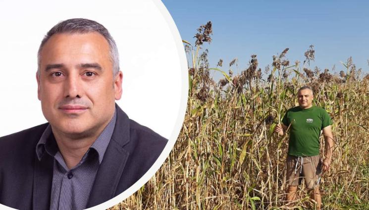 Станимир Енчев - Агро Телеграф: Петмезът се завръща със сорго - Шуменско сладко