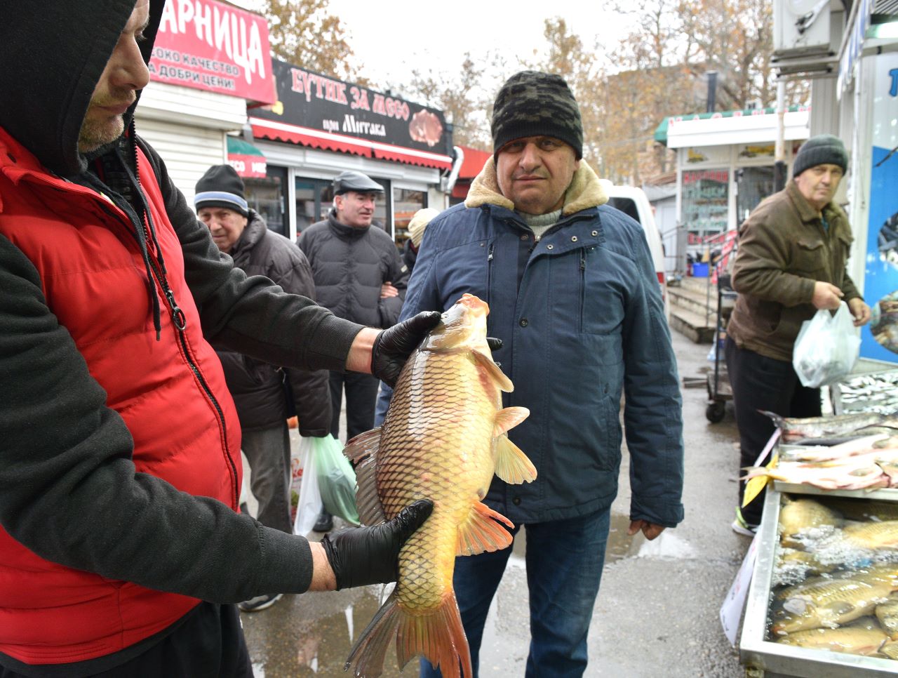 <p>Два дни преди Никулден на рибната борса във Варна шаранът се продава по 10 лева за килограм, показа проверка на БТА.</p>