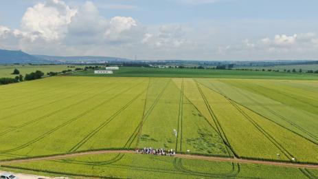 земеделски площи ниви