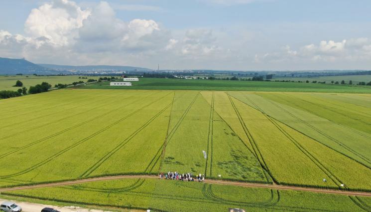 земеделски площи ниви - Агро Телеграф: Готвят нова енергийна помощ за земеделците