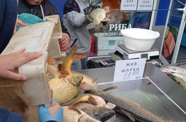 Към момента няма информация за сериозни и фрапиращи нарушения при