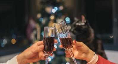 котка на събиране у дома