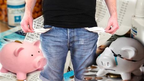 фалит прасенца касичка