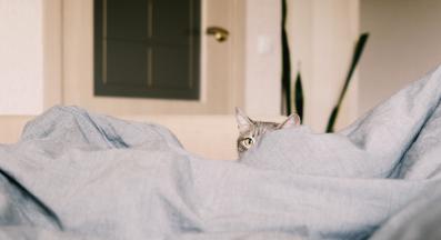 котка и собственичка