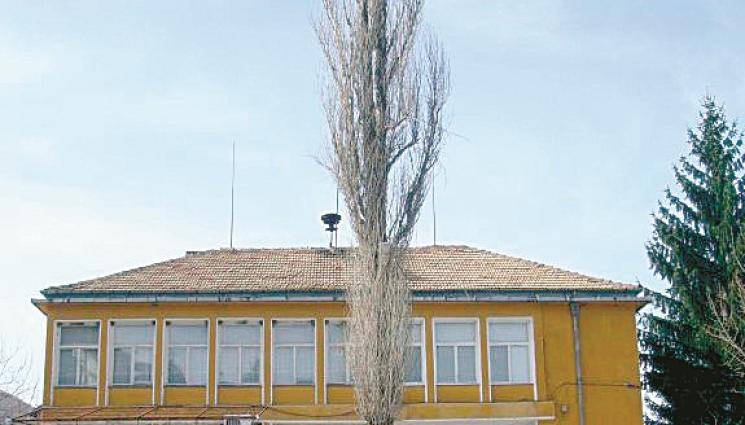 читалище - ЗЛАТНО ВРЕМЕ: Читалище обяви конкурс за терлици