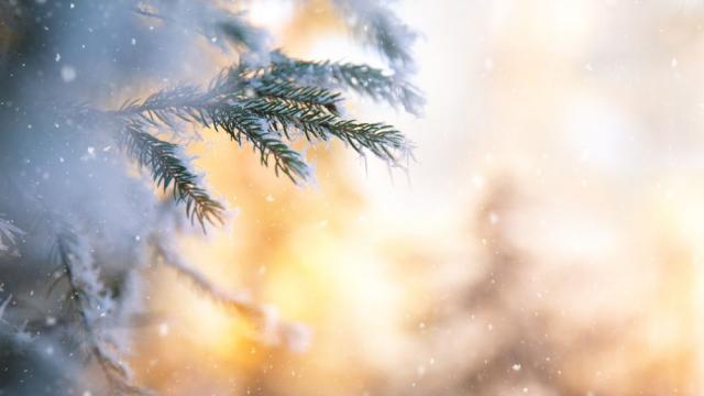 Настъпва астрономическата зима