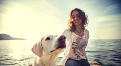 куче миризма