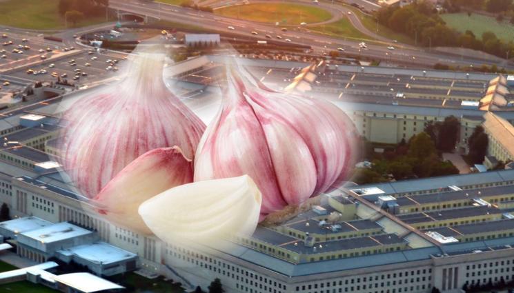 чесън пентагон - БИЯТ ТРЕВОГА: Китайски чесън е заплаха за сигурността на САЩ!