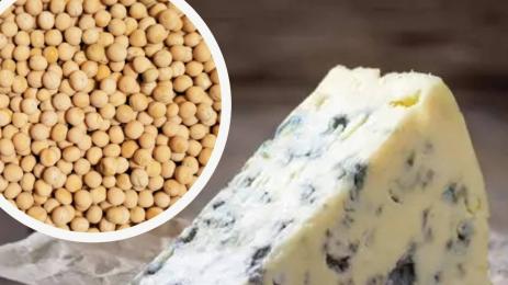 жълт граф синьо сирене