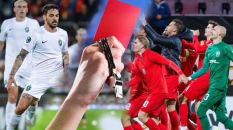 Лудогорец Нордселанд