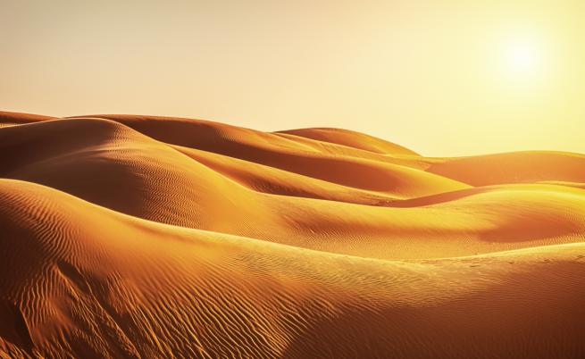 Desert X: Творци пренасят изкуството в пустинята (ВИДЕО)