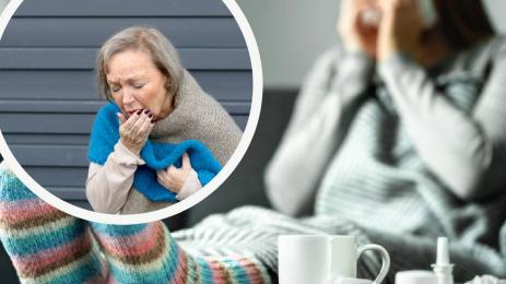 кашлица болест