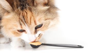 фъстъчено масло