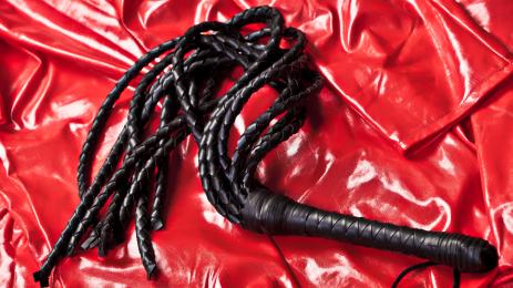 кожен камшик