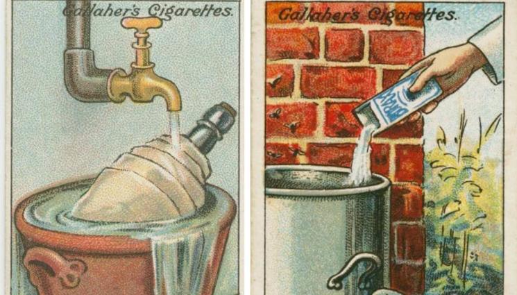 практични съвети - ПРАКТИЧНИ СЪВЕТИ: Чашата се счупи, ами сега?