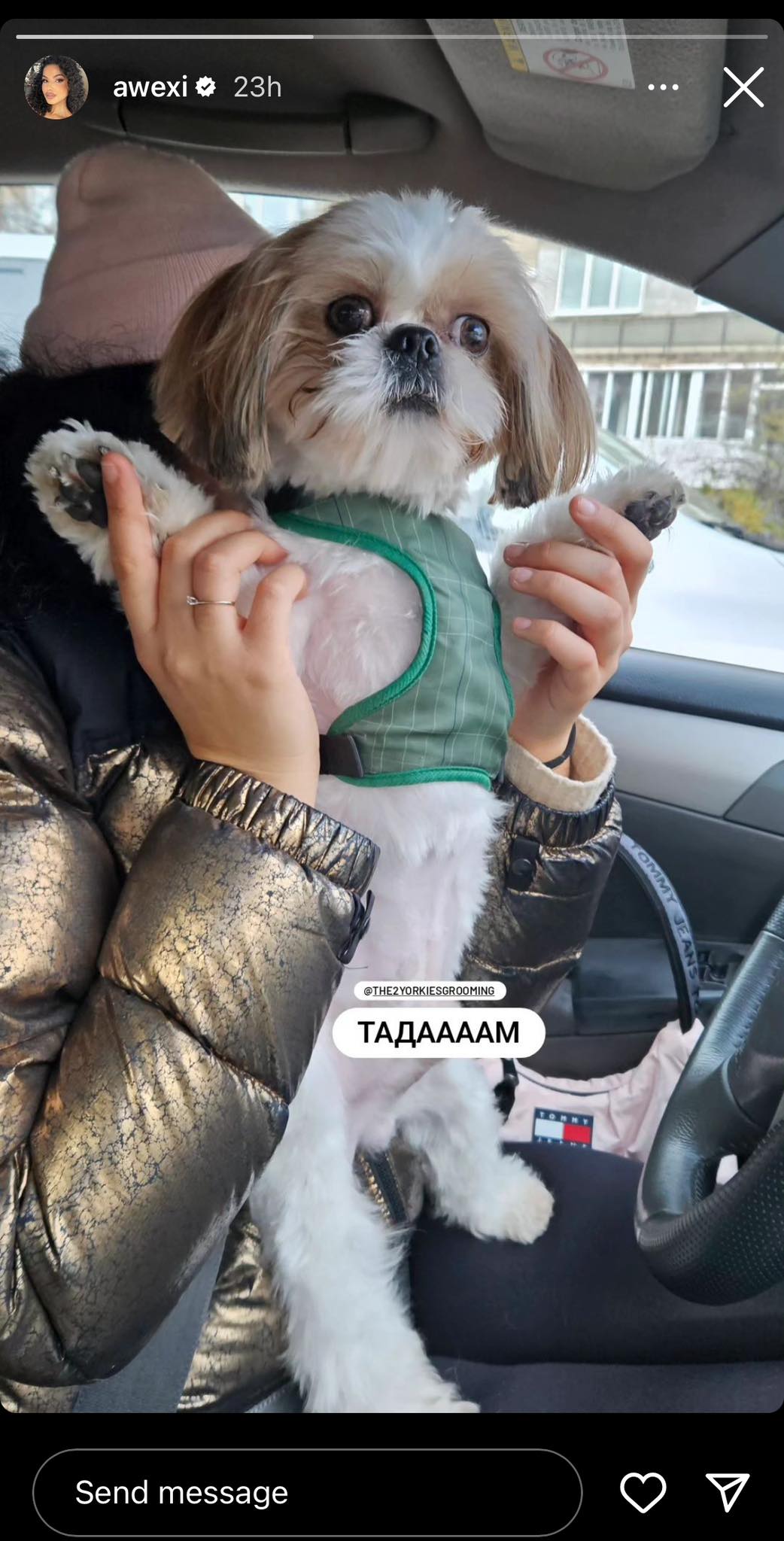 Алекс и Влади