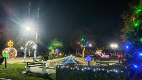 Сандрово коледа