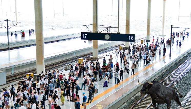 бик - ИЗБЯГА ГРИЛА: Бик духна от кланица, пробва да хване влака (ВИДЕО+СНИМКИ)