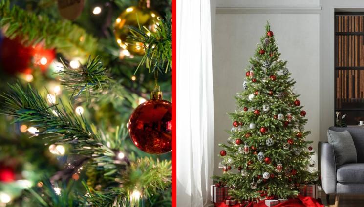 елха - ЗВЕЗДИТЕ ИМАТ ОТГОВОР И ЗА ТОВА: Кога да украсим коледната си елха?