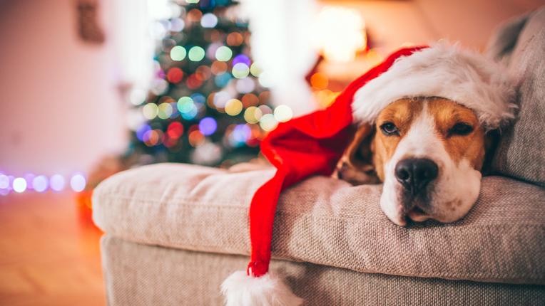  Дневен хороскоп за четвъртък, 28 декември 