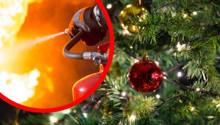 елха - КОЛЕДНА ТРАГЕДИЯ: Дете загина, друго ранено заради елха!