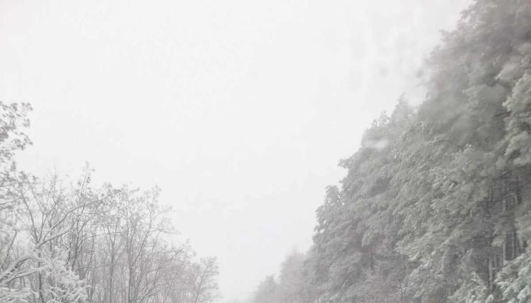 сняг път - ТИХО СЕ СИПЕ: Заваля първи сняг!