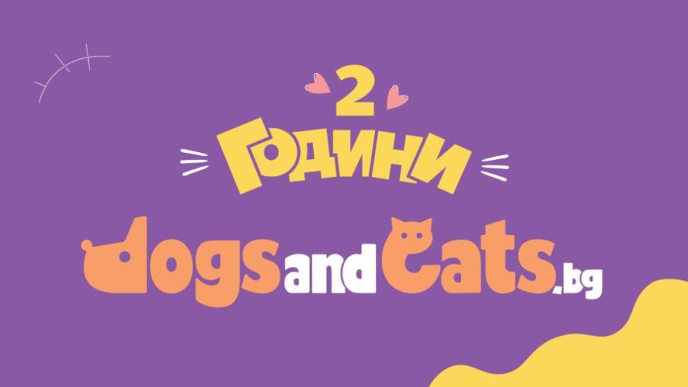 Платформа , част от водещата дигитална медийна и технологична компания