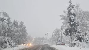 Синоптиците предупредиха за обилен снеговалеж в страната Ето и каква е