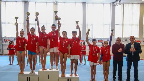 спортна гимнастика