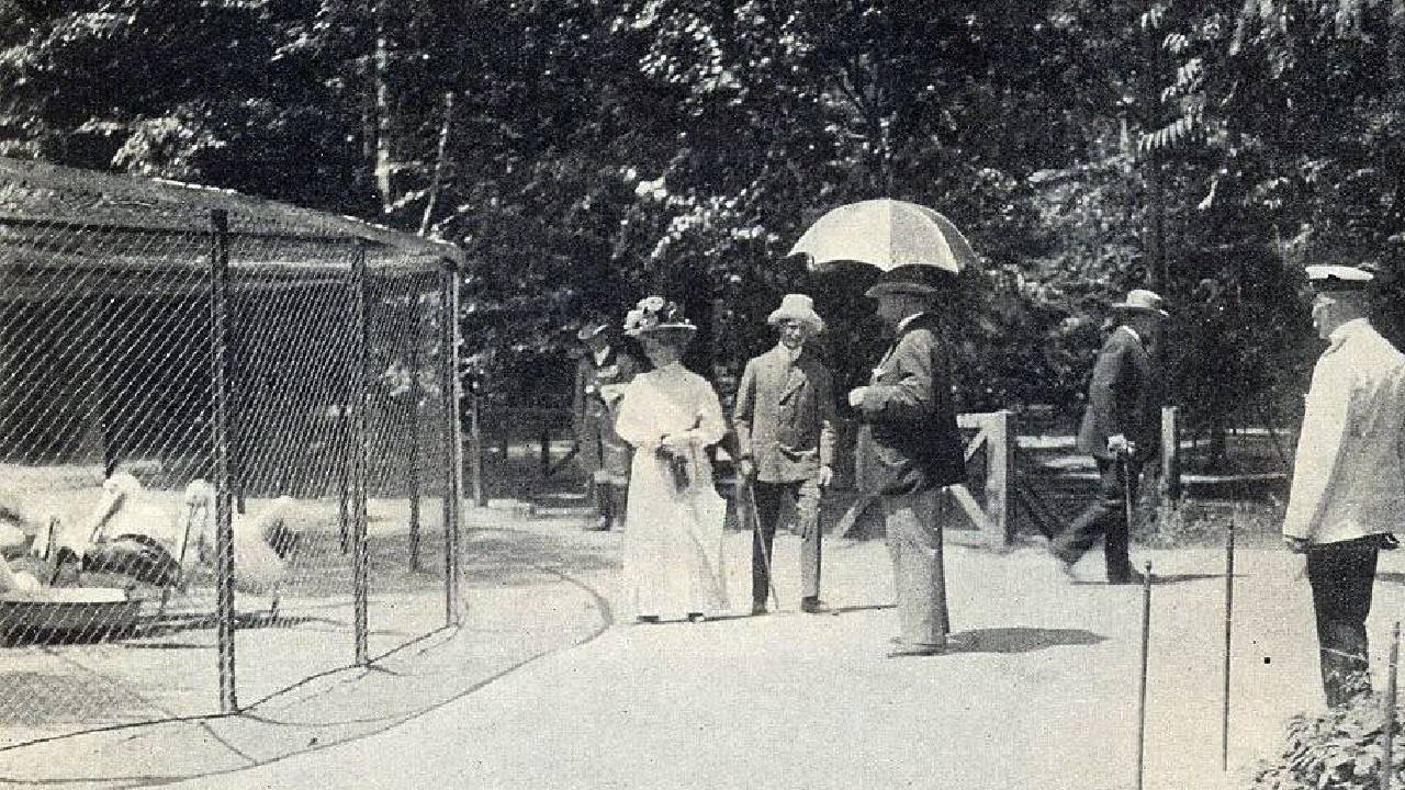 Борисова градина