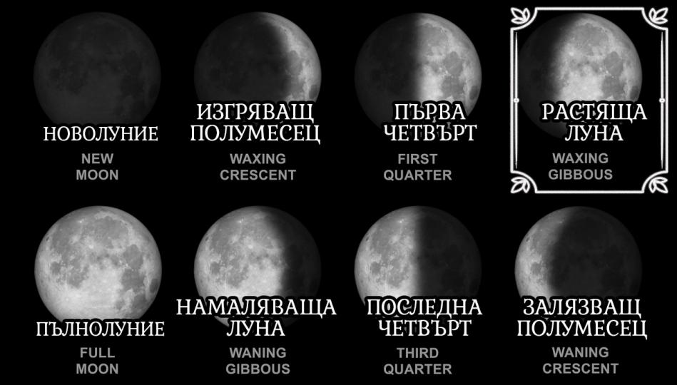 <p><strong>Растяща Луна (</strong><strong>Waxing </strong><strong>Gibbous Moon)</strong><br />
Вие сте състрадателен и грижовен човек и се опитвате да помогнете на обществото колкото е възможно повече. Разбирате стойността на саморазвитието и постоянно се стремите да подобрите качеството на живота и взаимоотношенията си. Вие виждате работата и живота си като средство да допринесете за подобряването на света. Култивирането на търпение и научаването как да бъдете по-последователни може да гарантира, че ще се радвате на резултати от упоритата си работа. Пред лицето на неприятностите и препятствията трябва да бъдете упорити и да не се отказвате &ndash; това ще ви направи по-зрели и ще доведе до просветление и удовлетворение в живота. Имайте предвид, че няма нужда да следвате сляпо другите в желанието си да постигнете крайните си цели. Средната възраст е времето, когато ще процъфтявате и ще постигнете успех. Очаквайте усилията и талантите ви да бъдат признати именно тогава.</p>