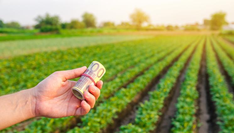 субсидия земеделие пари