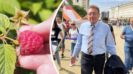 Божидар Петков