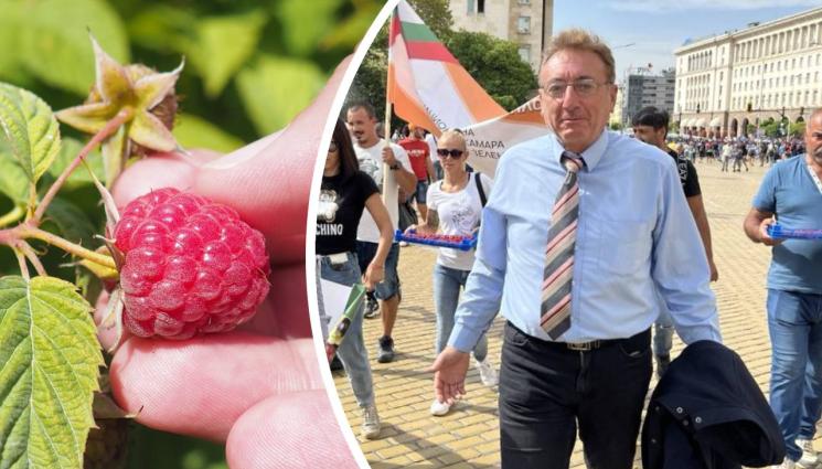 Божидар Петков - Агро Телеграф: Браншовикът Божидар Петков: Български малини ще има през април