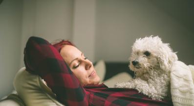 куче човек спи