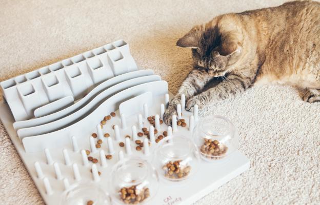 котка и интерактивен пъзел за храна
