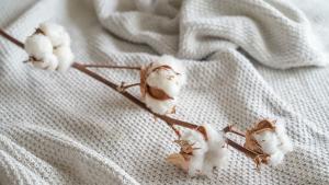 Залети сме с продукти втора употреба и такива от Азия