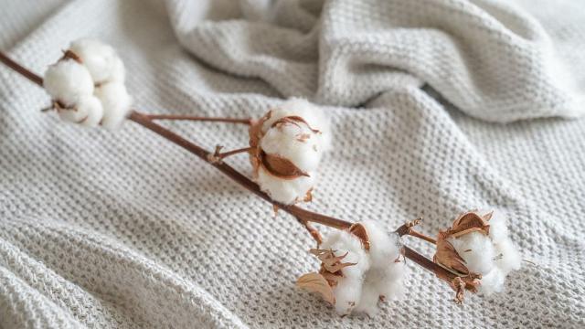 В Буркина Фасо това е на почит