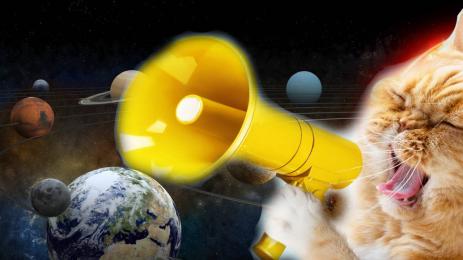 котка космос