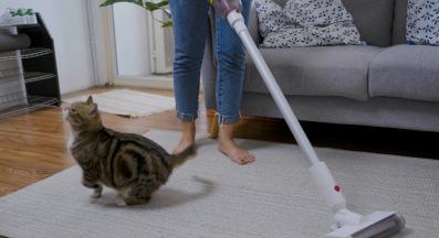 почистване на дома