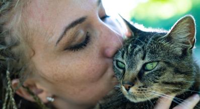 котка и стопанин