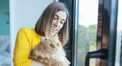 котка у дома